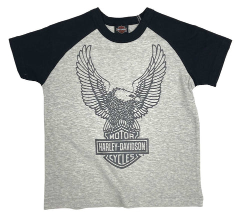 H-D® BIG BOYS' EAGLE COLORBLOCKED SHORT SLEEVE RAGLAN TEE - GRAY