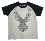 H-D® TODDLER BOYS' COLORBLOCKED SHORT SLEEVE RAGLAN TEE - GRAY