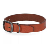 LEATHER H-D DOG COLLAR - COGNAC